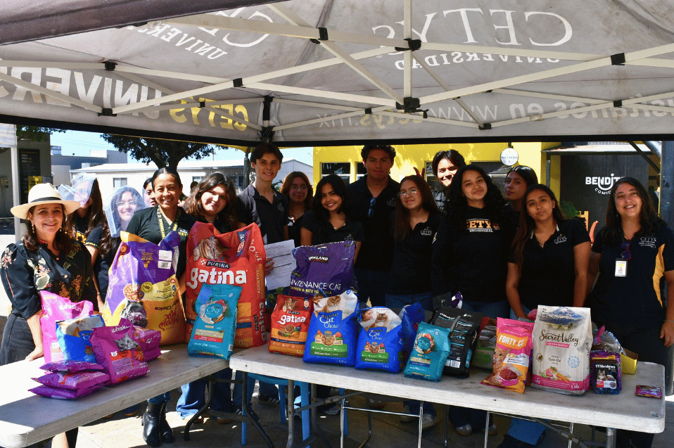 Gatotón de la Preparatoria impulsa acciones para mejorar la vida de los gatos en Campus Tijuana